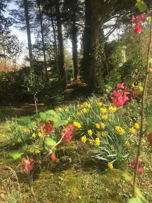 Holiday home Holly Cottage. Romantic Getaway. Tourist Base. Harker